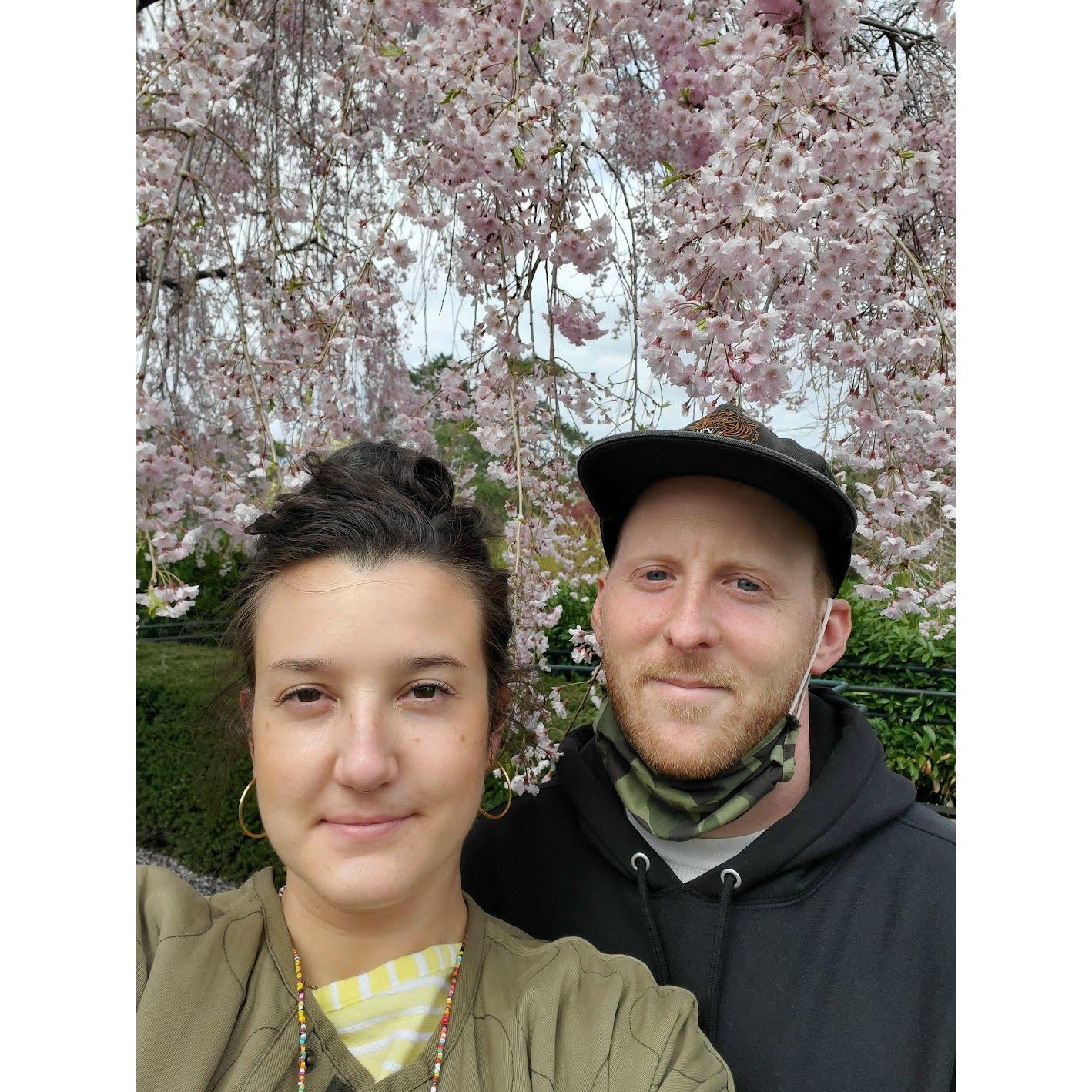 New York Botanical Garden, April 2021