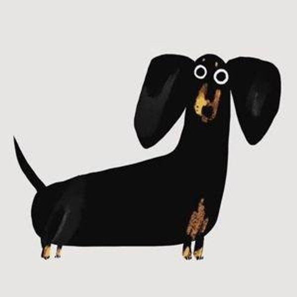 Midwest Dachshund Rescue