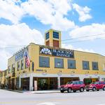 Black Dog Salvage