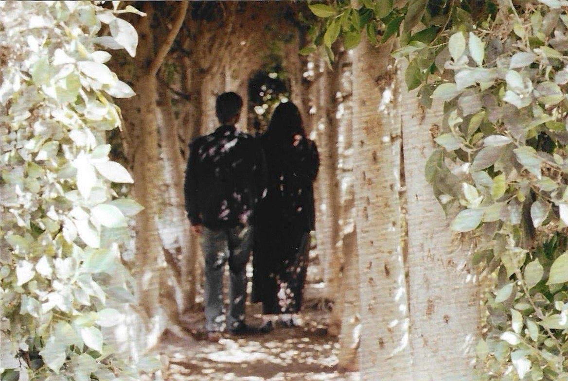 The Wedding Website of Matthew Barlund and Sophia Zelaya