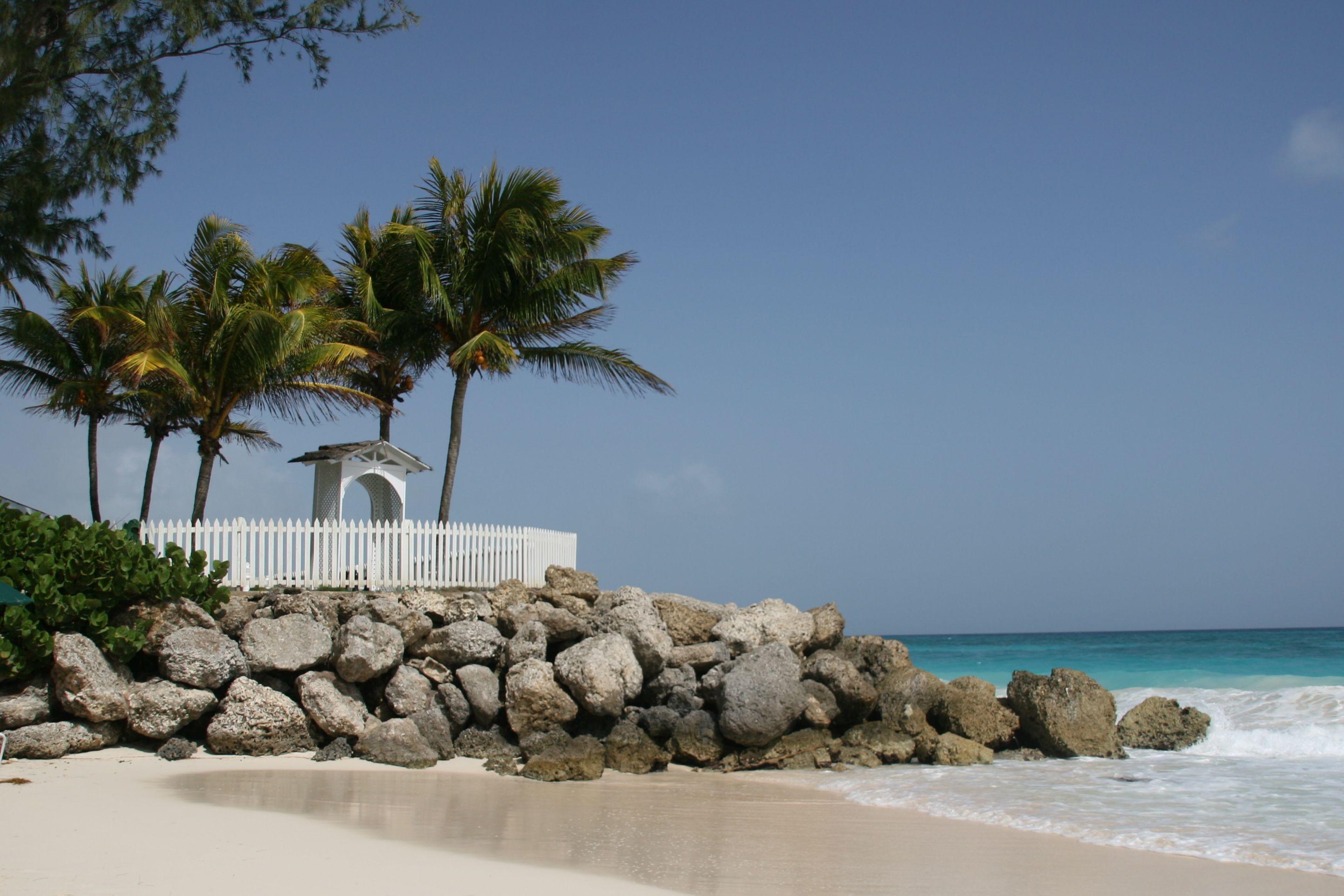 The Wedding Website of Lindsay Klingler and Nicholas Creed