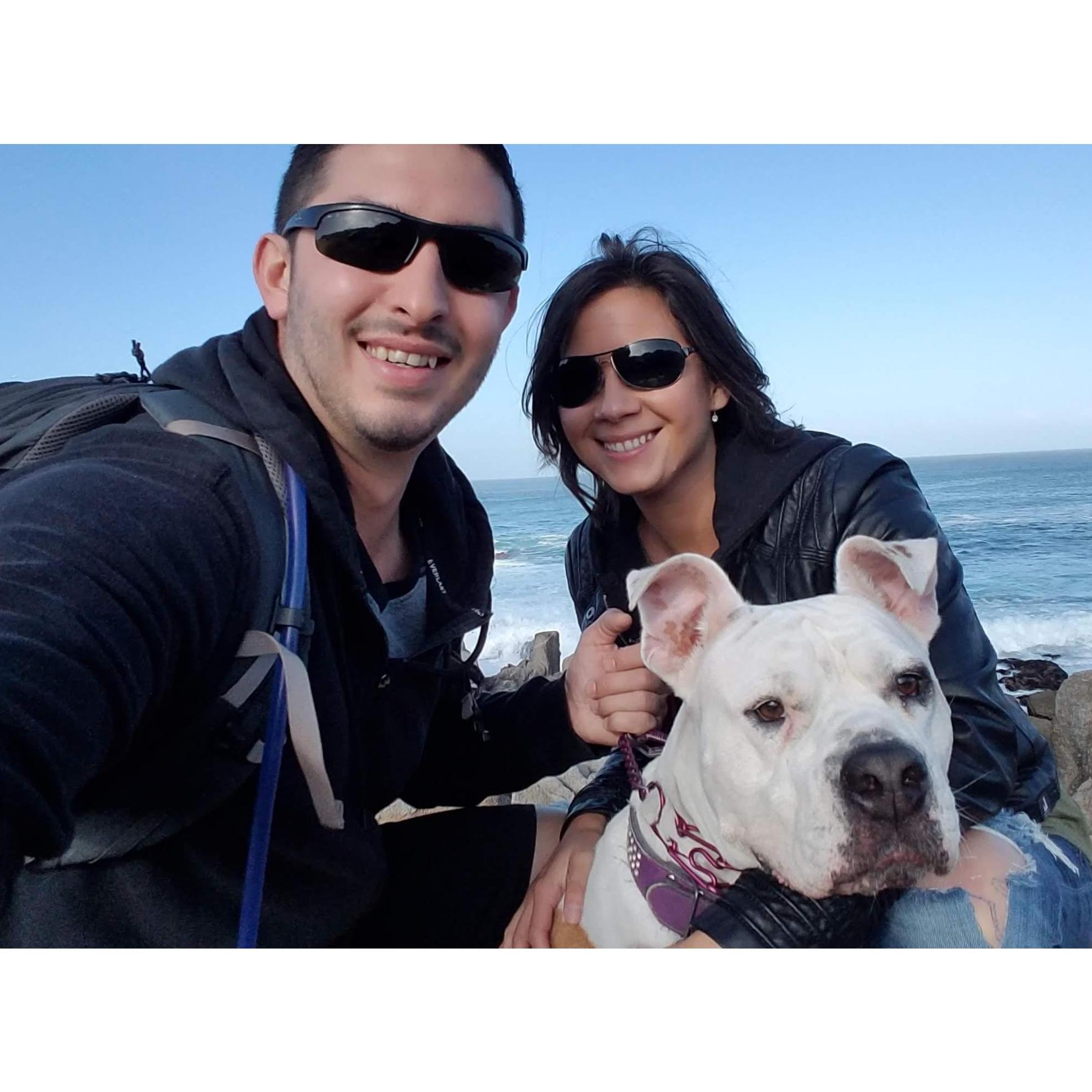 D+E&P in Monterey