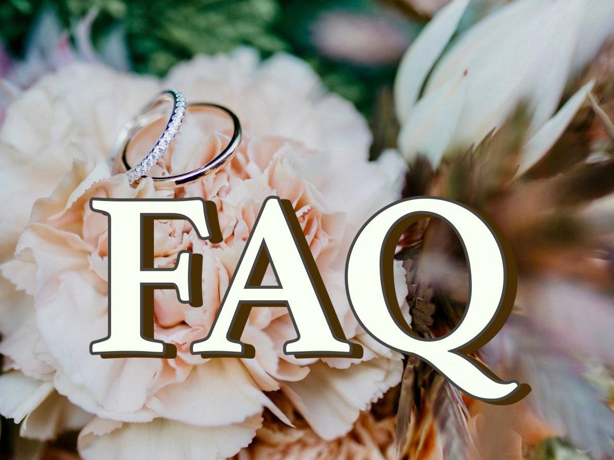 The Wedding Website of Tiffany Haas and Kyle Schmunk