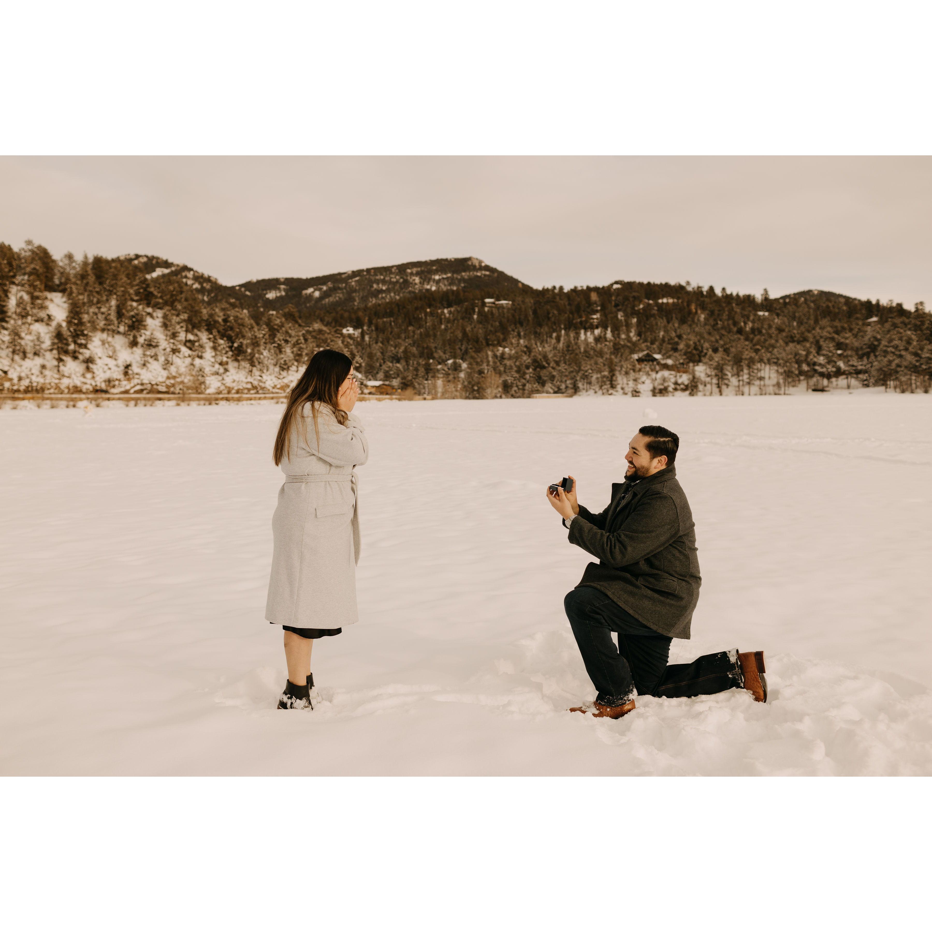 The Proposal
