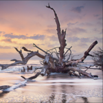 Big Talbot Island State Park