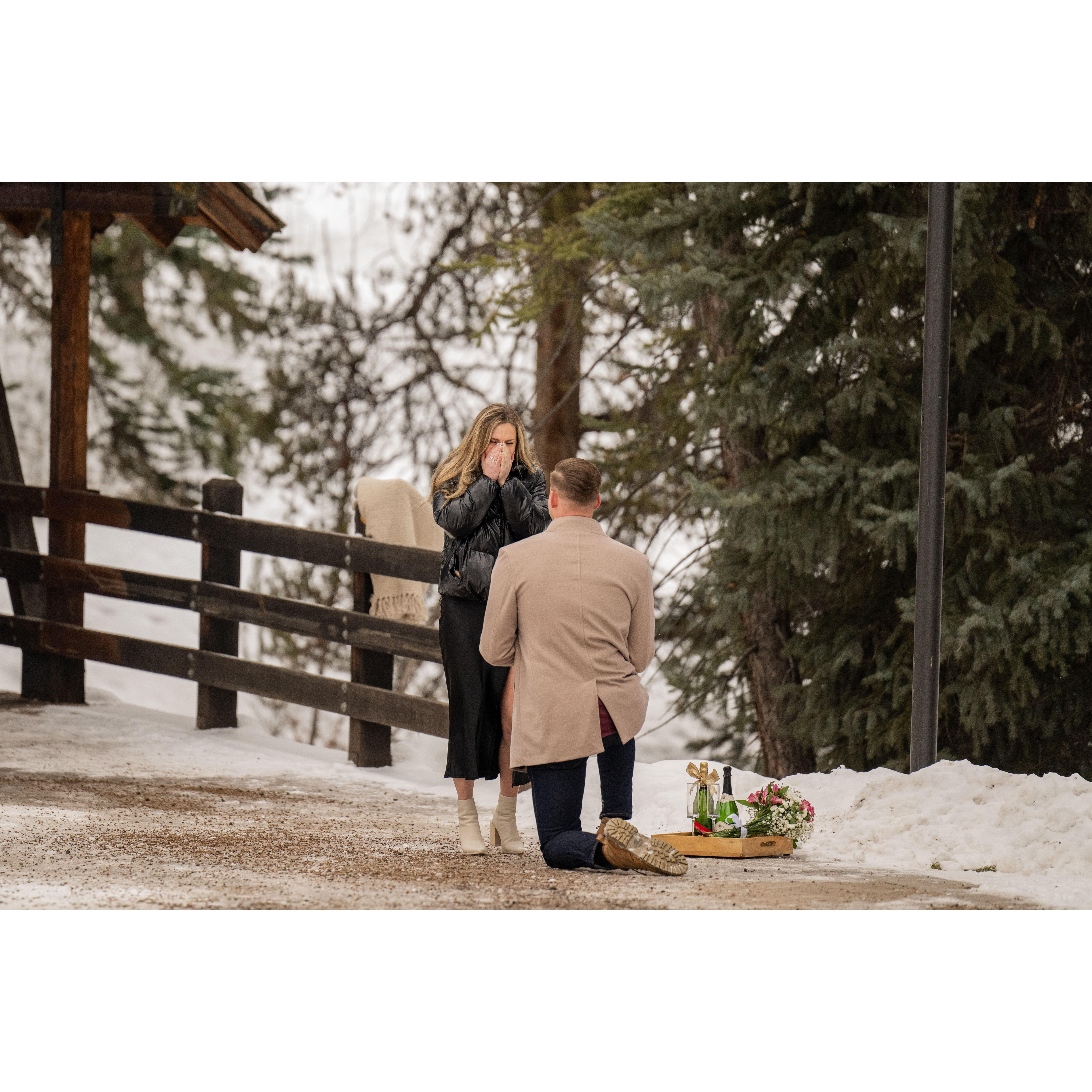 Proposal Photos