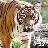 Fresno Chaffee Zoo