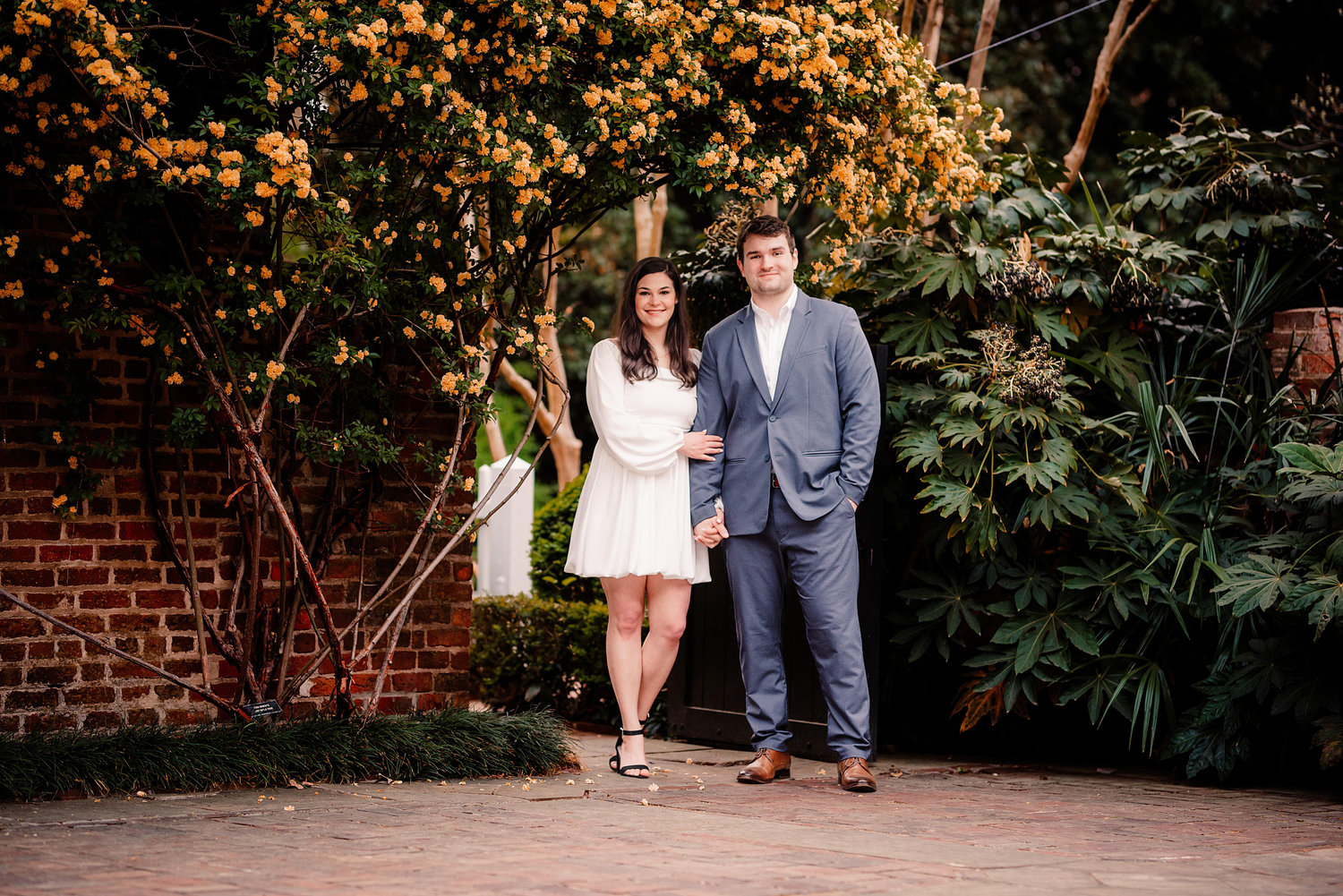 The Wedding Website of Abigail Springer and Drake Jurcak