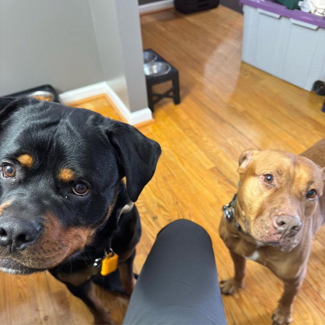 Stanley & Winston Fund