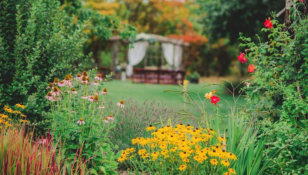 The Wedding Website of Madison Brown and Jesse Gregg