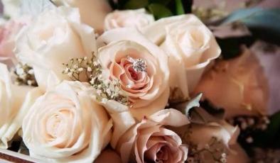 The Wedding Website of Demetris Martin and Dennis Shelton