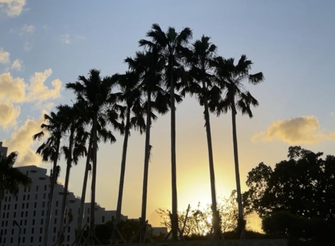 The Wedding Website of Stephanie Bay and Alexander Villarta