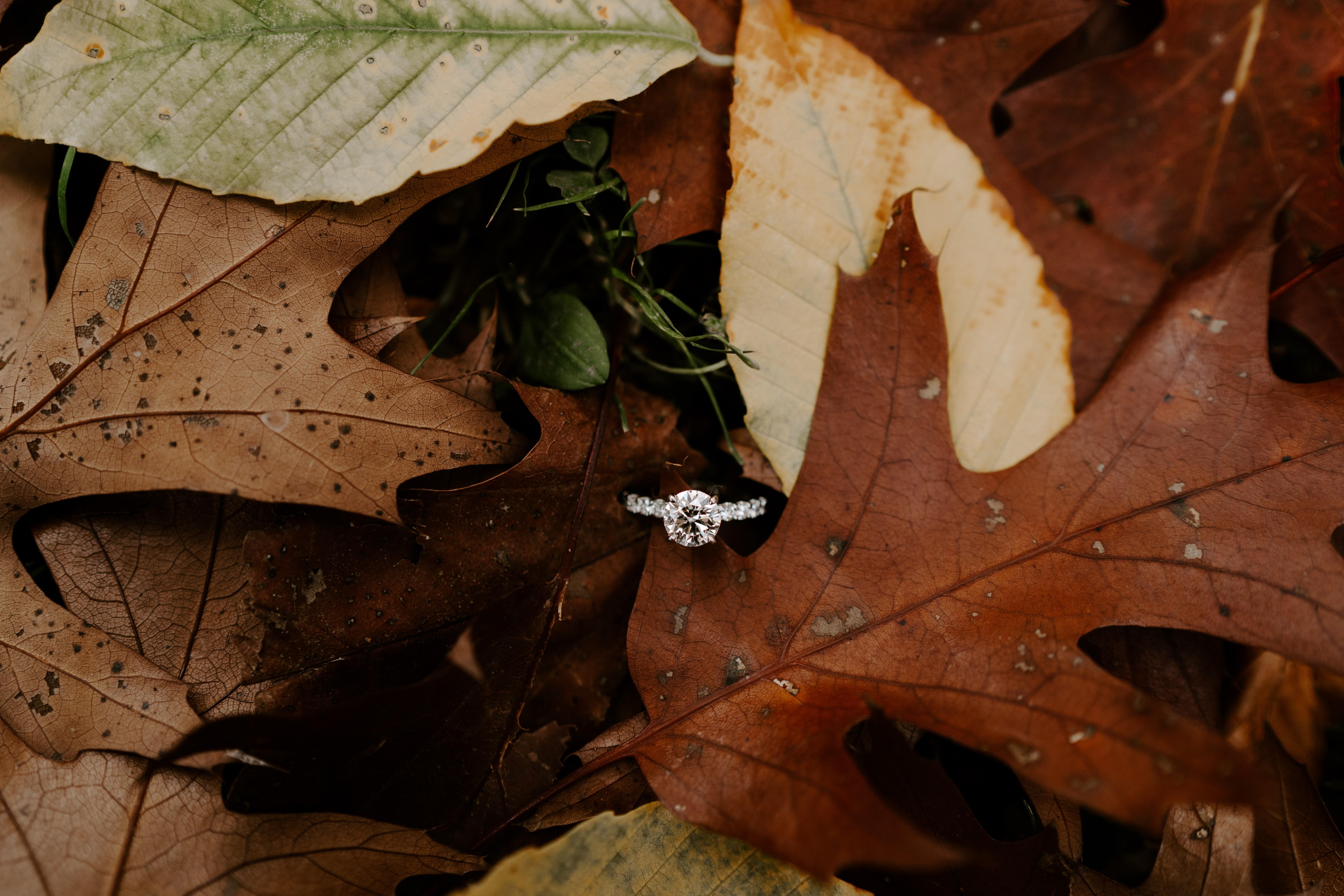 The Wedding Website of Amy Charlston and Zachary Dryer