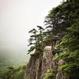 Crowders Mountain State Park
