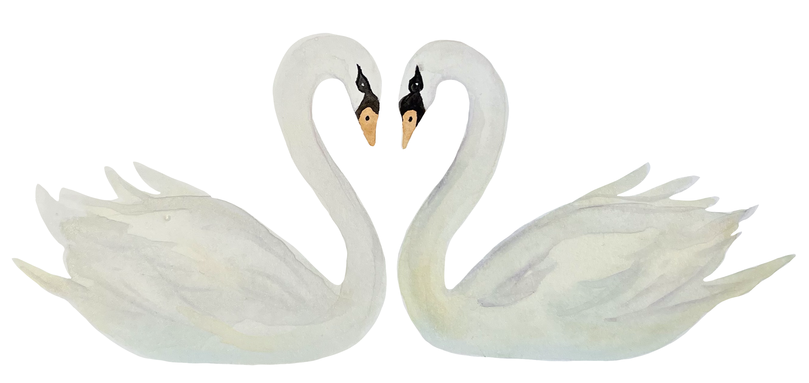The Wedding Website of JESSICA TOCCI and MICHAEL BLATT