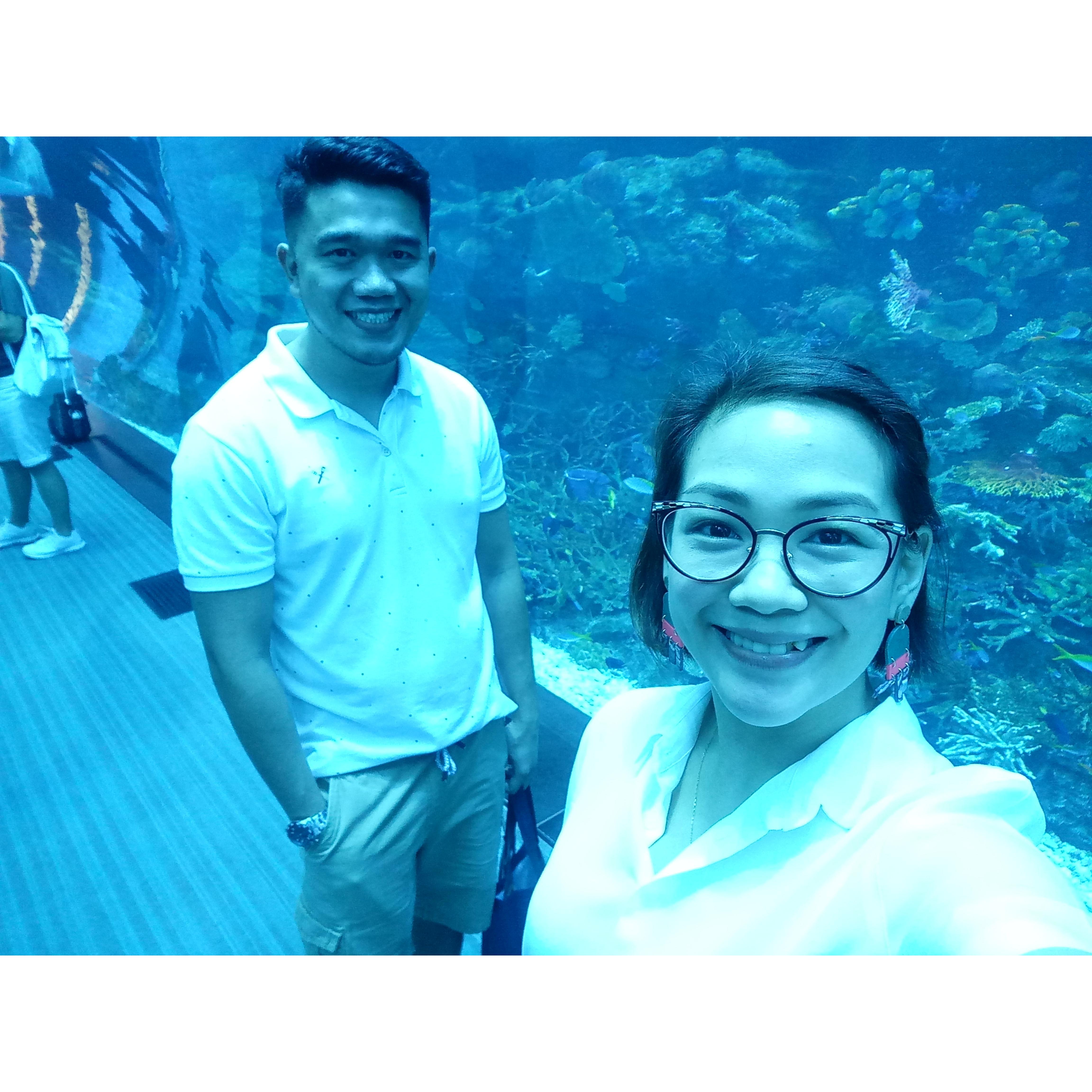 At the Dubai Mall Aquarium.