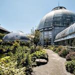 Belle Isle Park