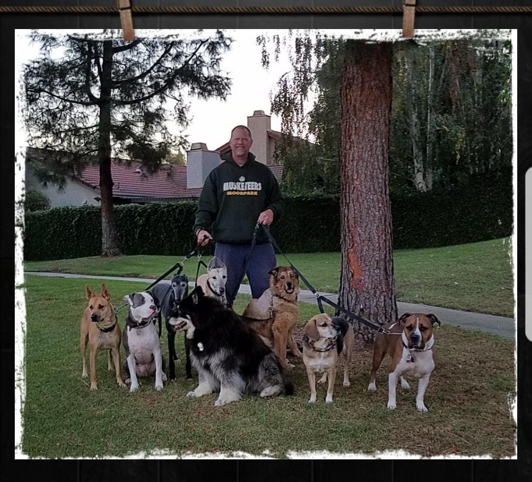 Moorpark, CA, 🇺🇸 , 2017