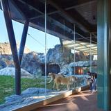 Lincoln Park Zoo