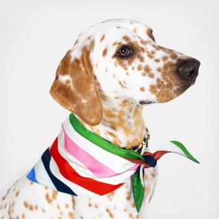 Dog Bandana