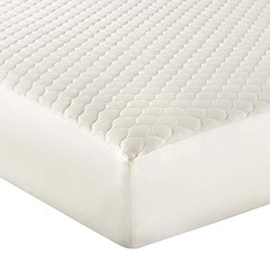Whisper Organics 100% Organic Cotton Quilted Mattress Cover, 17" Deep - GOTS Certified (Queen, Ivory)