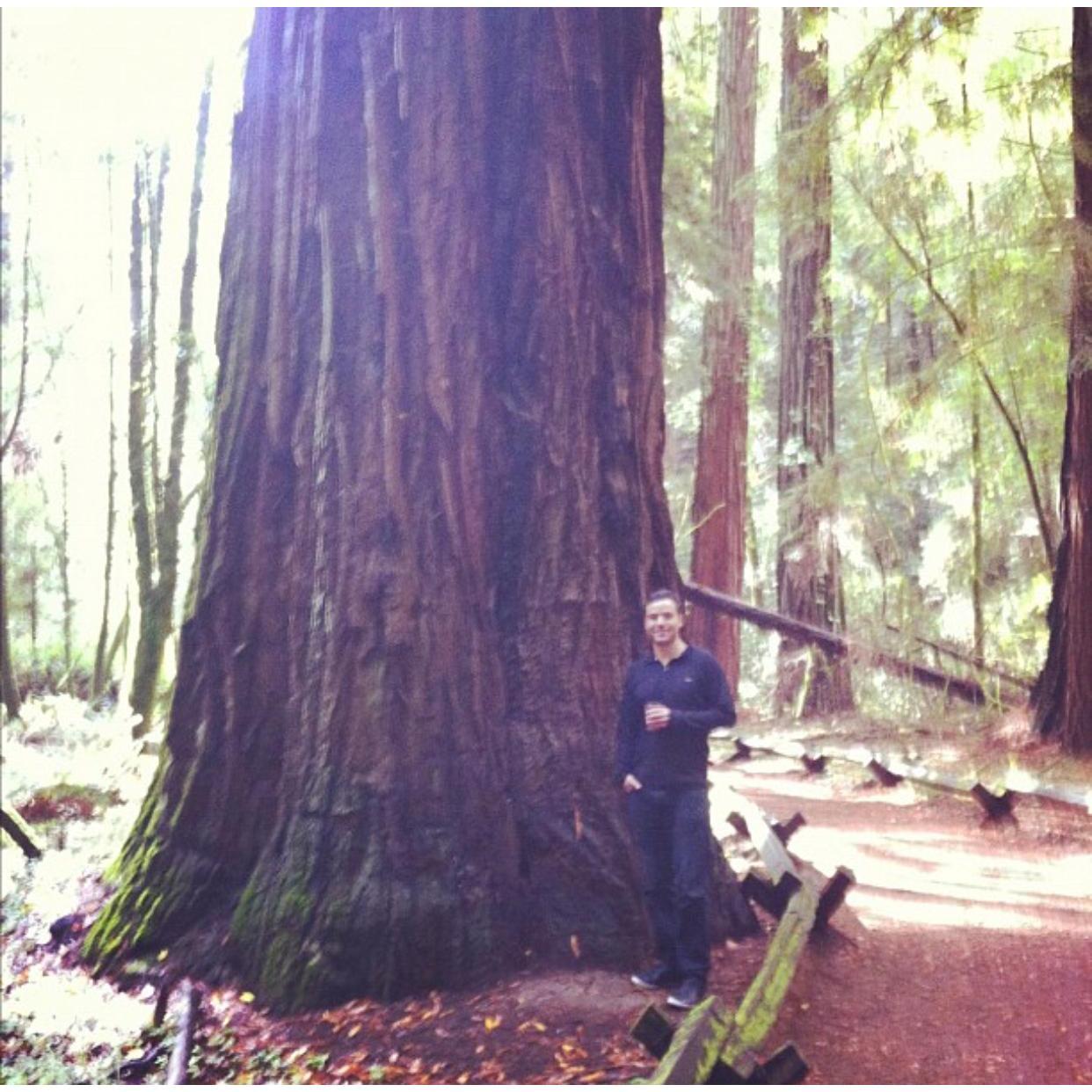 Muir Woods
October 2011