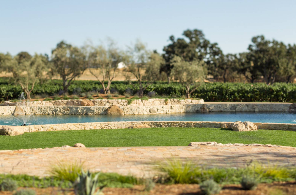 The Wedding Website of Emily Patterson and Miles Yourman