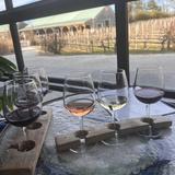 Cape May Winery & Vineyard
