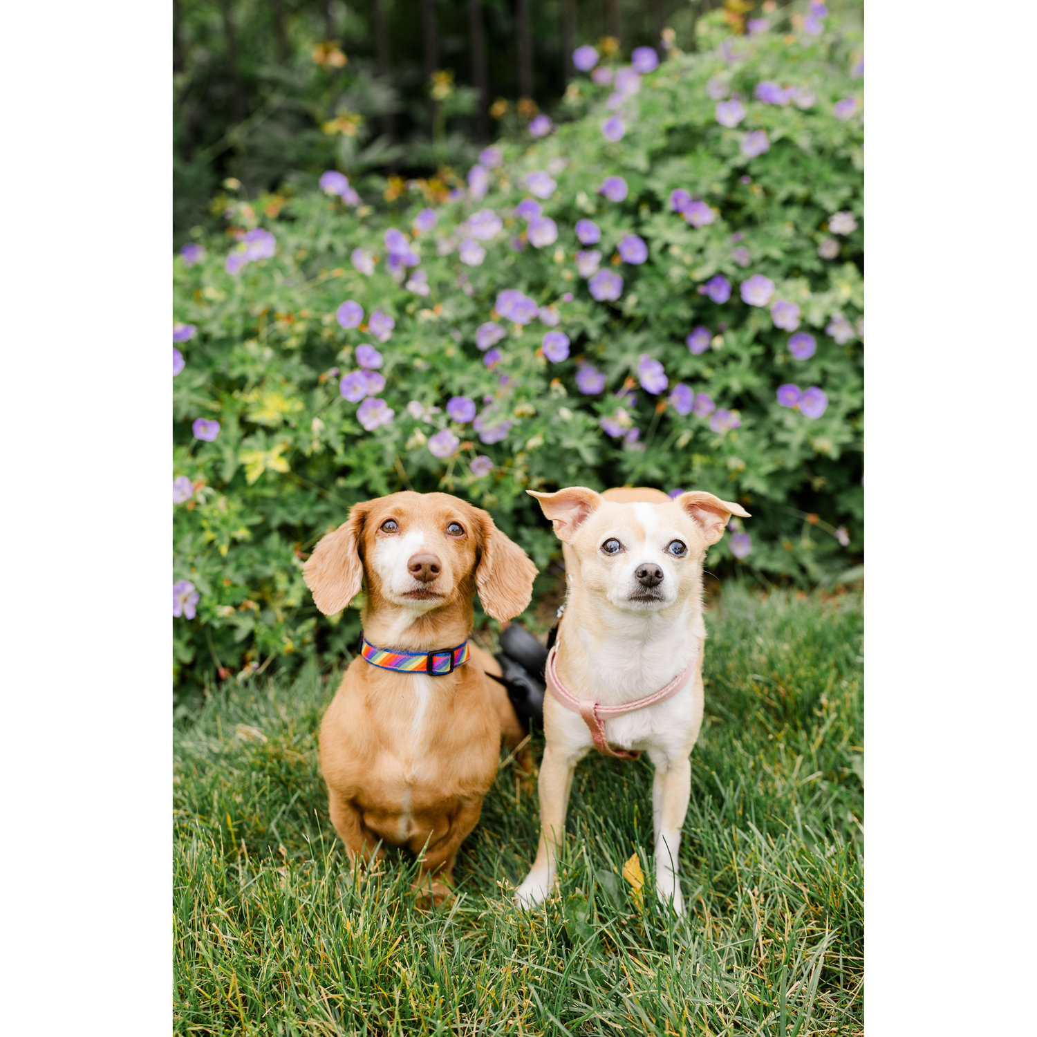Our beautiful kids