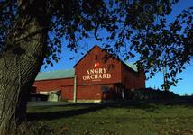 Angry Orchard