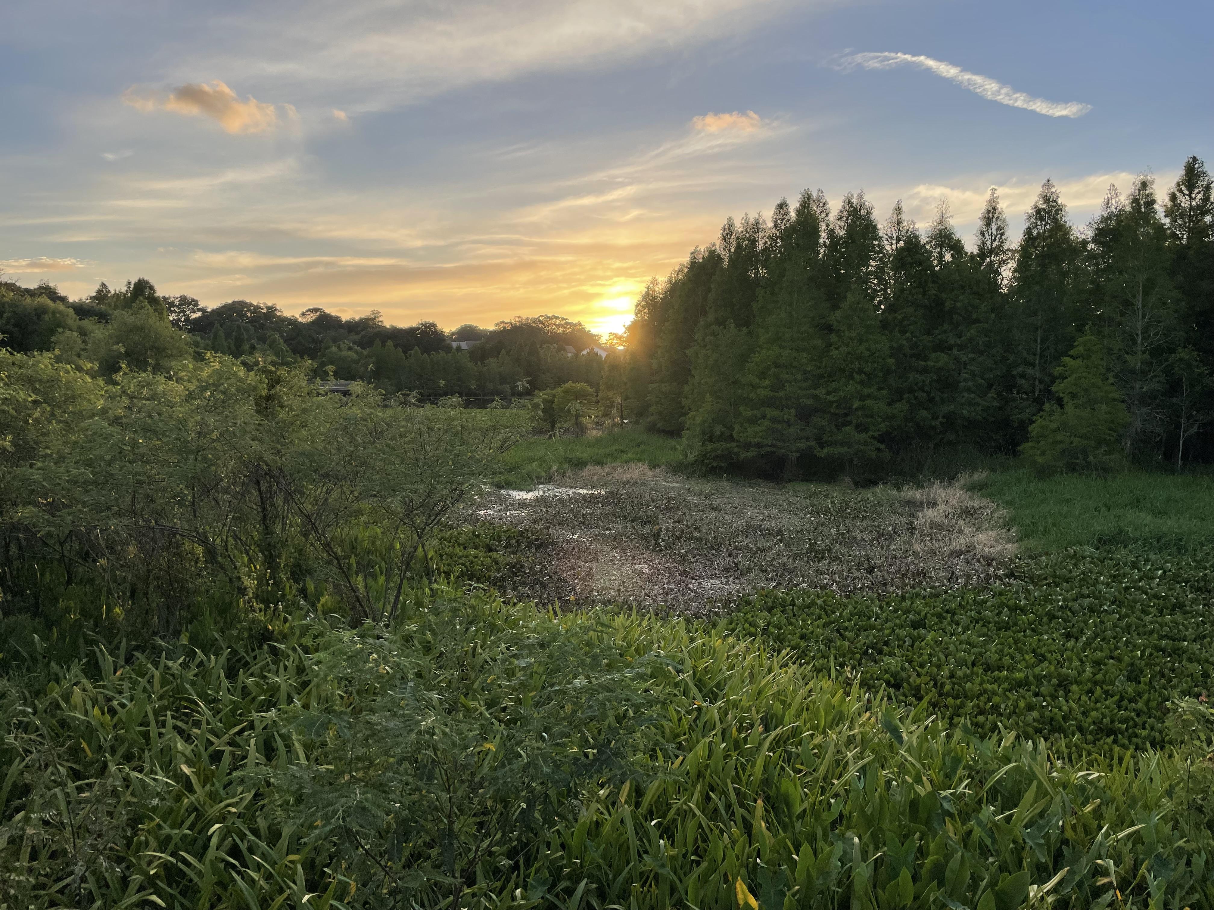 The Wedding Website of Allison Lusk and Marcos Pluguez