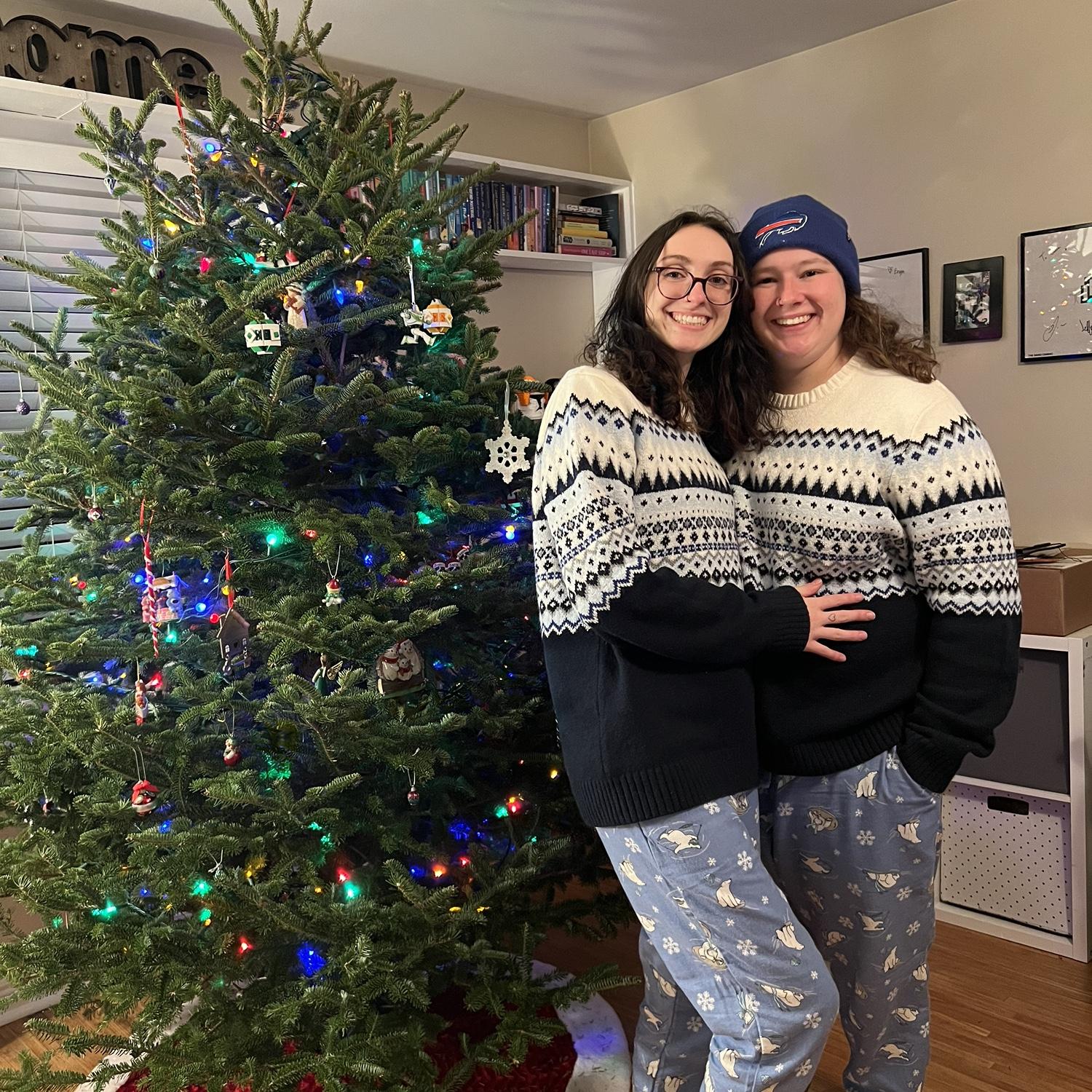 December 3, 2024: Put up our first Christmas tree in our home!