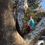 "Our Tree"