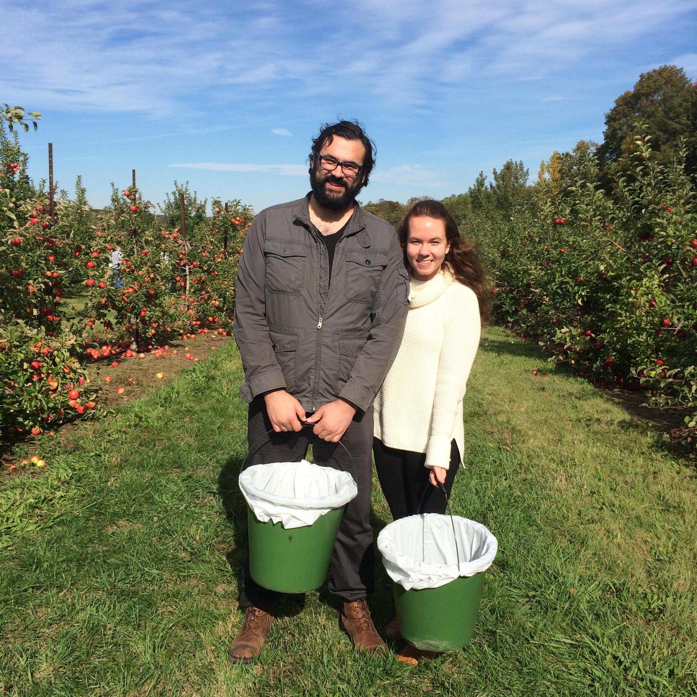 Autumn apple picking tradition!