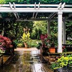 The Frelinghuysen Arboretum