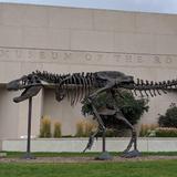 Museum of the Rockies
