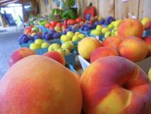 Indian Creek Farm