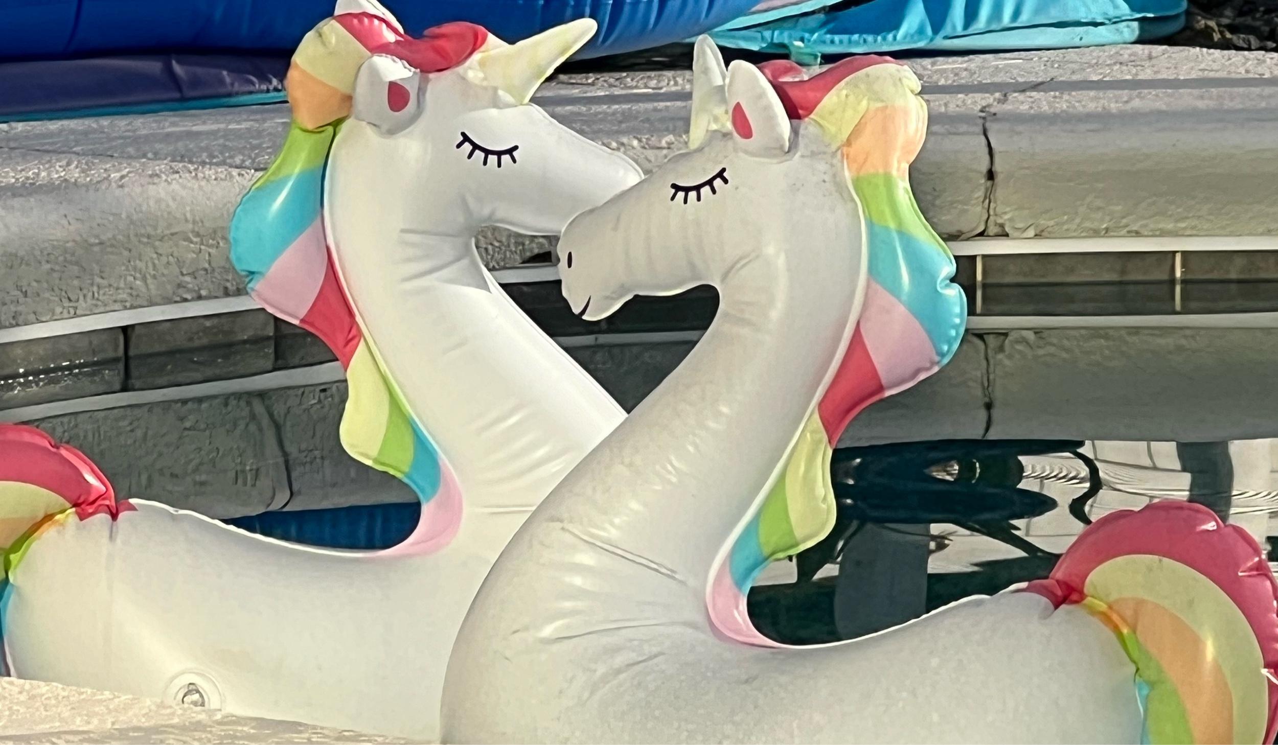 The Wedding Website of Paula Carrera and Allan Reimann