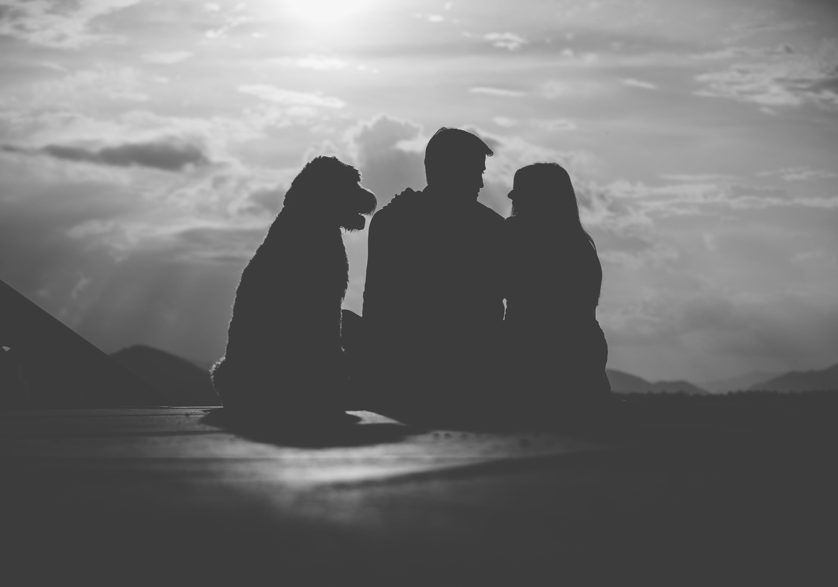 The Wedding Website of Stephanie Hahn and Andrew Bennett