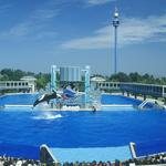 SeaWorld San Diego