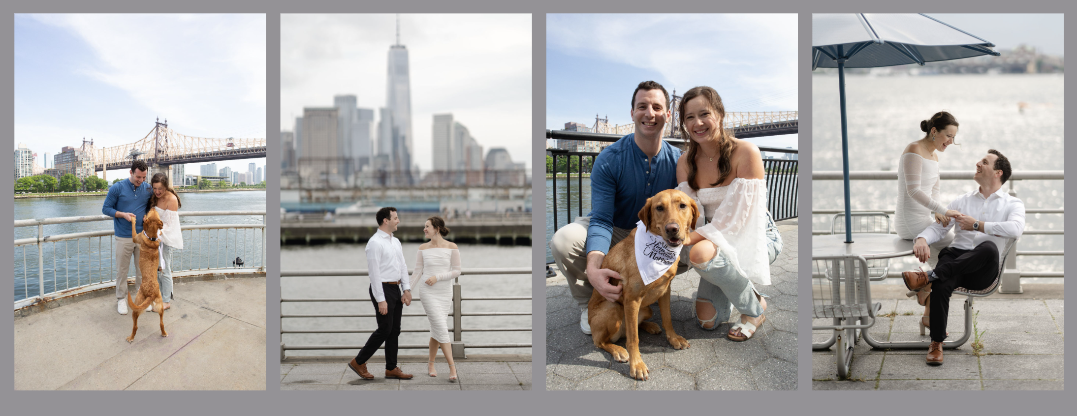 The Wedding Website of Anne Reardon and Leo Weiner