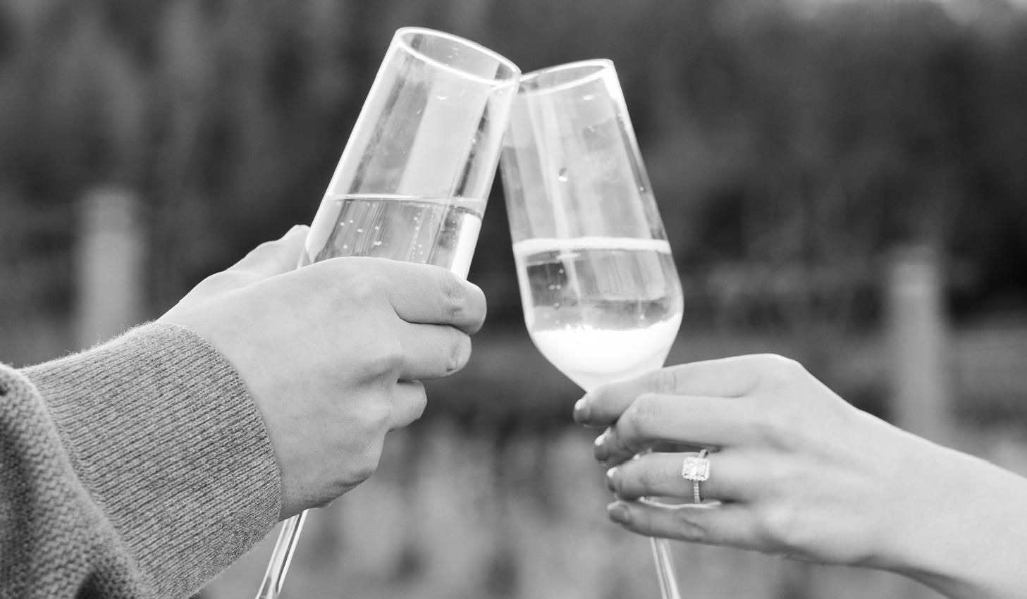 The Wedding Website of Denisse Perez and Anthony Avina