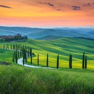 Italy Honeymoon Fund (Venmo- no processing fee)