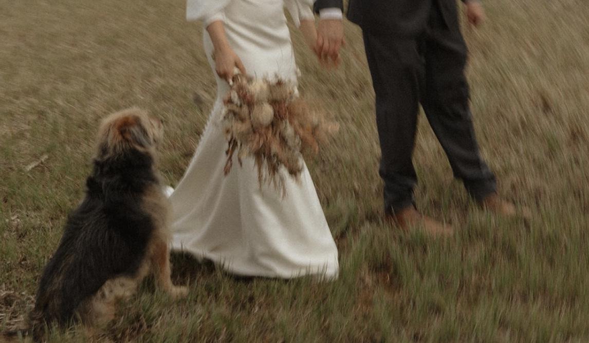 The Wedding Website of Maggie Bishop and Bryan Bishop