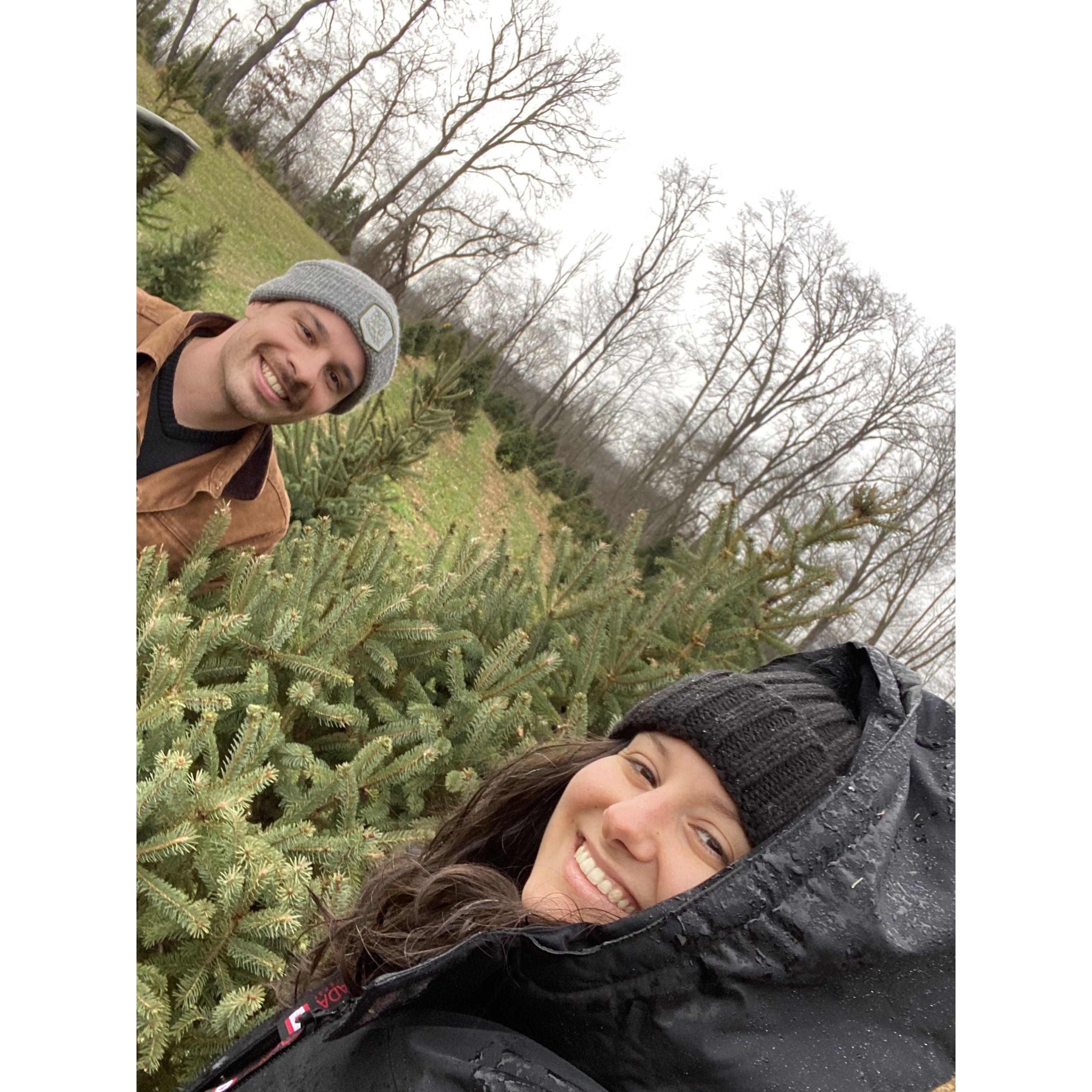 First Christmas living together and Kat and Joe (mostly Joe) chopped down their own tree!