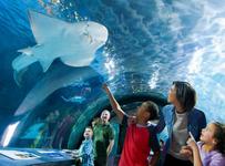 Newport Aquarium