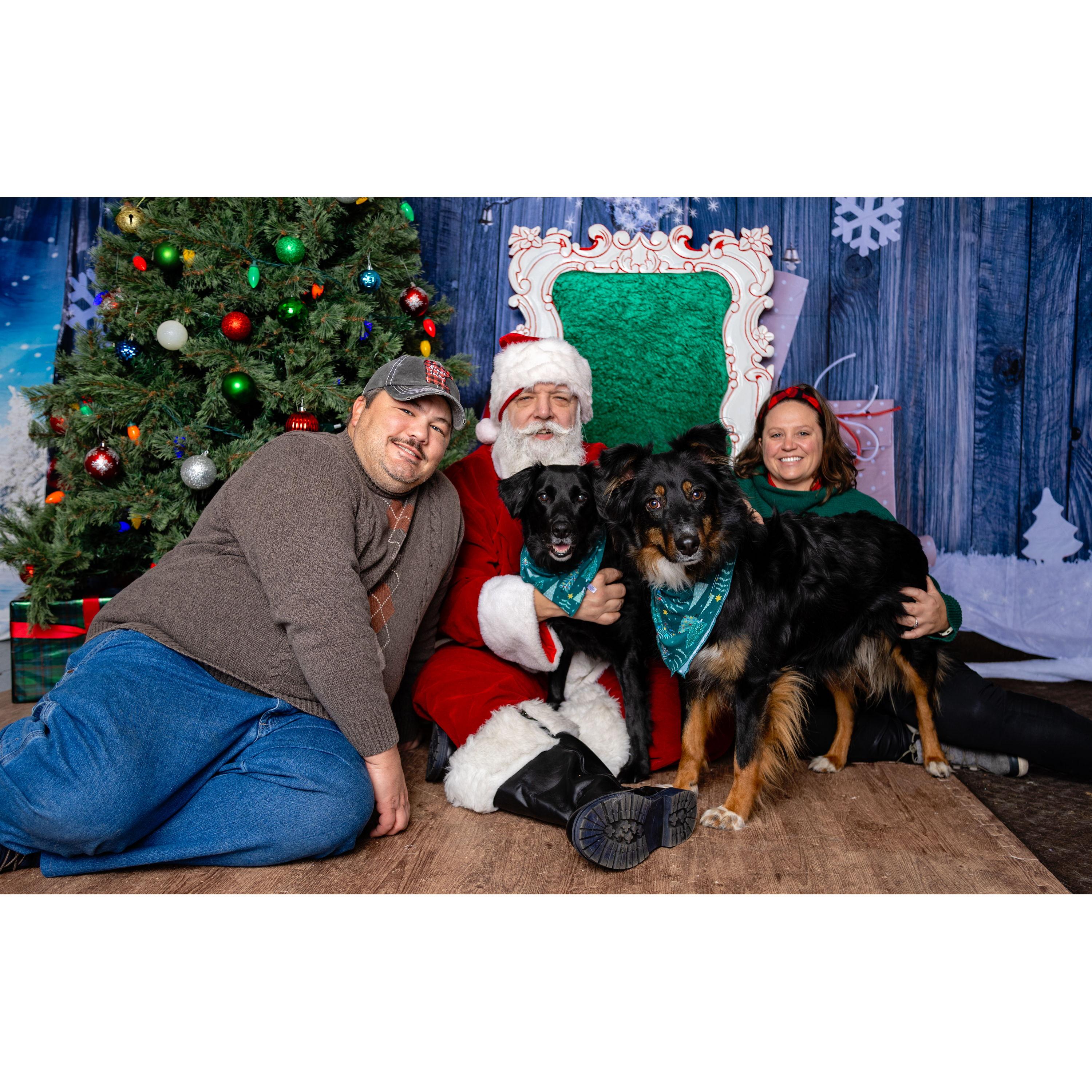 The first of many family photos with Santa.  The pups did great!