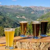 Microbreweries