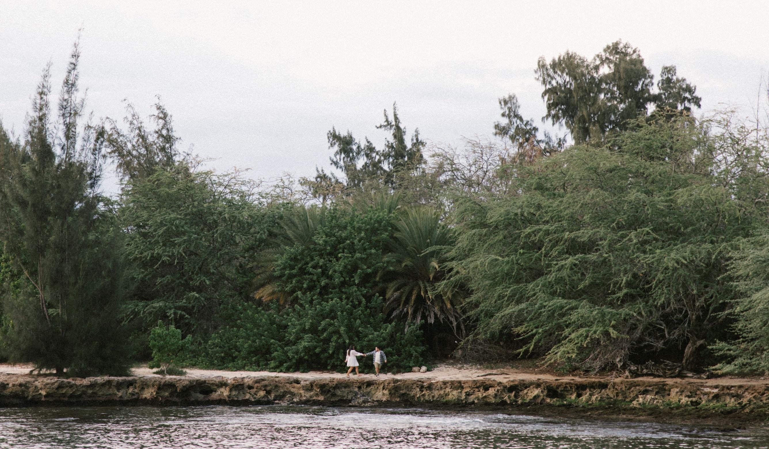 Footer image