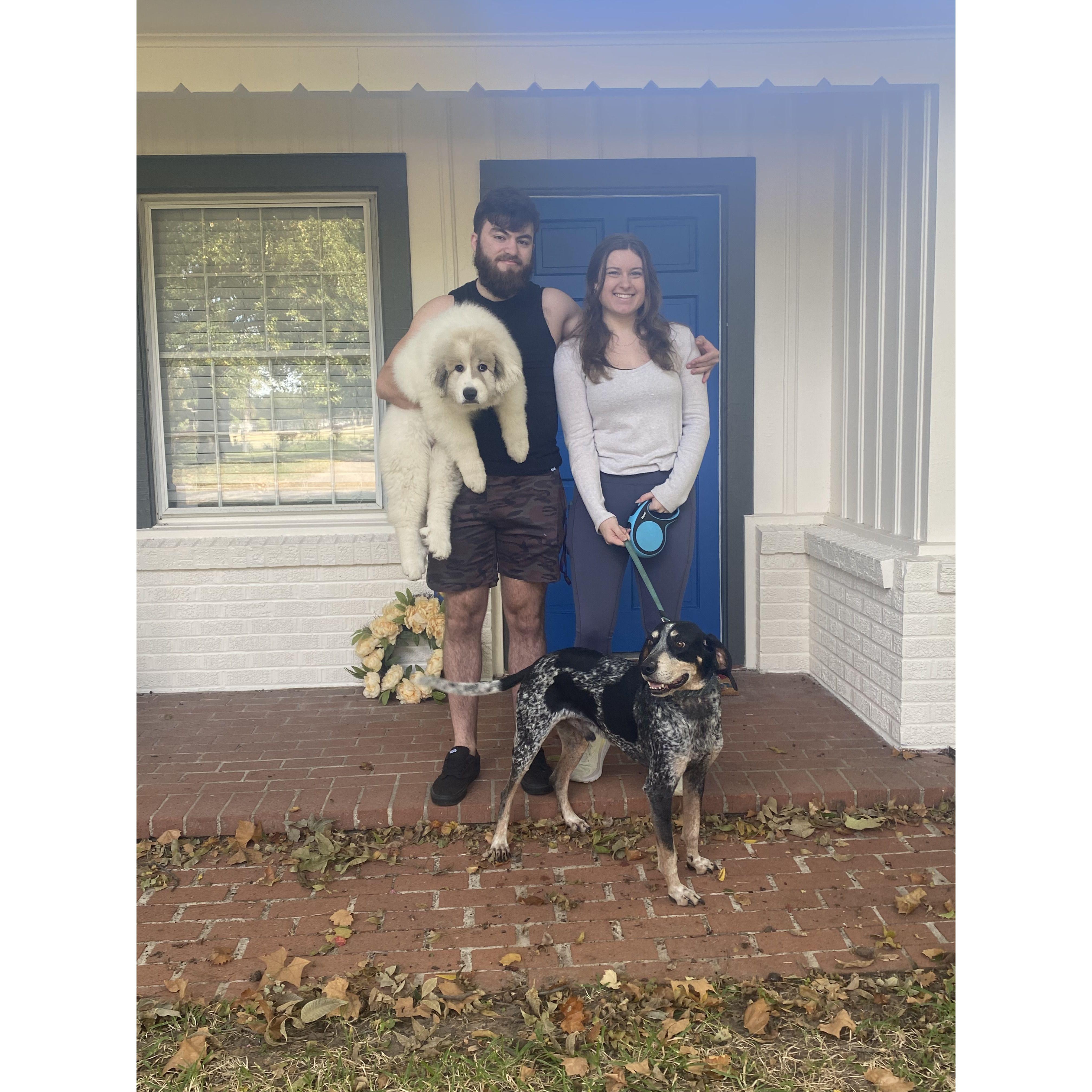 Cam and Kaitlyn recently purchased their first home together and welcomed their new puppy Casca into the family!